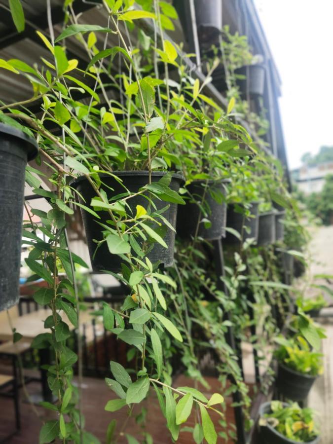 Nai Wiang Poshtel Hostel Chiang Mai Exterior photo
